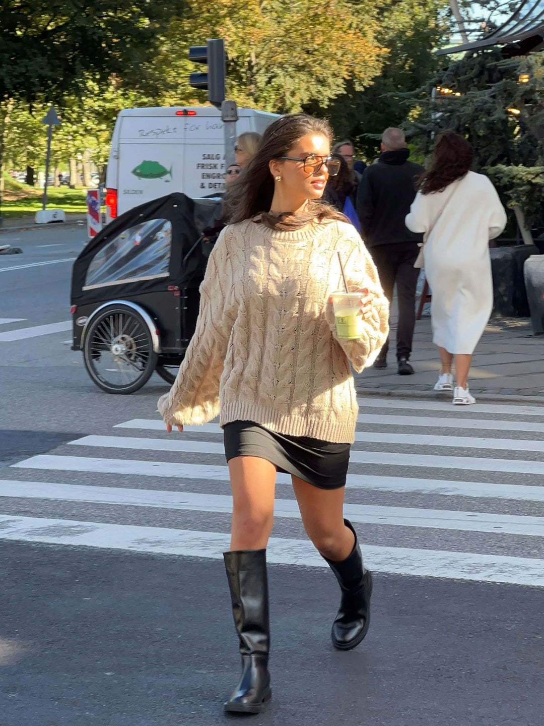 Anora chunky knit sweater - Beige