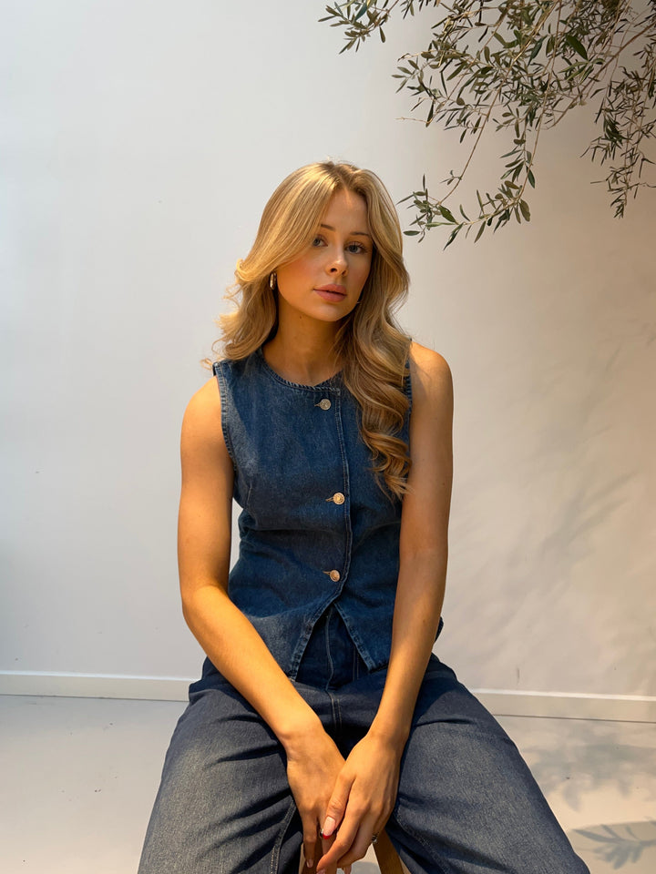 Thea Denim top